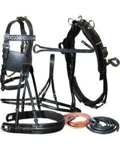 Finimento Singolo Diplomat SS