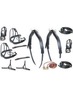 Finimento Pariglia Diplomat SS