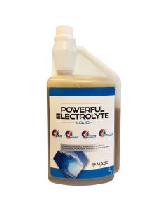 Elettroliti Masc Powerful Electrolyte Li
