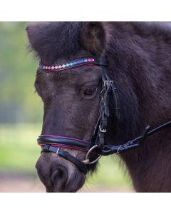 Briglia Pony Star Pinky