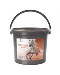 Equality Ascorbate Master C