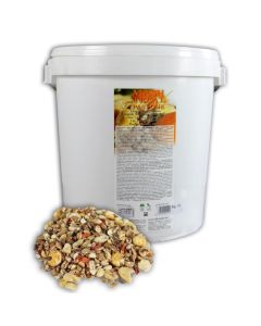 Pastone Fresco Officinalis Carota