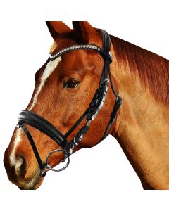 Briglia Equityum SuperSoft Sheffield