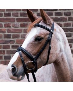 Brida Stubben Waterford 1001