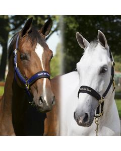 Cavezza Back on Track Welltex® Werano