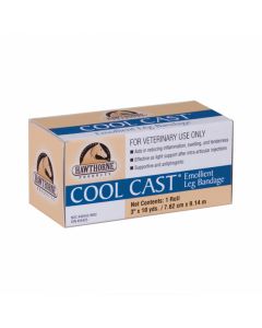 Cool Cast Hawthorne Bende