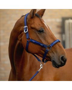 Conjunto Cabezada + Ramal Equiline Esdino