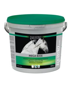 Mega Base Equistro
