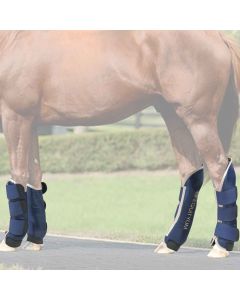 Paracolpi Trasporto Equityum Talia