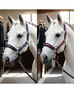 Equityum Halfter mit Longierstrick Zelda