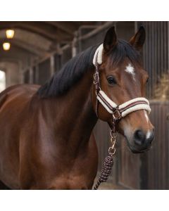 Equityum Rosegold Halter with Lead Rope