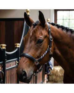 Cavezza Equityum In Cuoio Con Inserti Inserti Tubolari Rennes