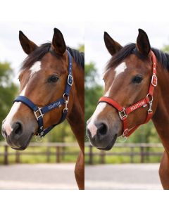 Cavezza Equityum Yvonne Light