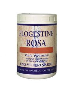 FM Italia Flogestine Rosa