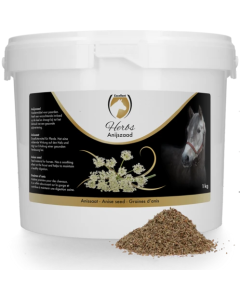 Excellent Herbs Aniseed Con Anice