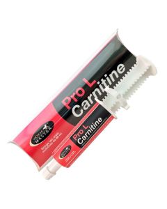 Pro L Carnitine Horse Master