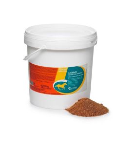 Nuovo Complesso Puledri Candioli