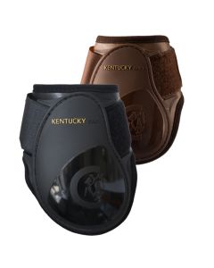 Paranocche Kentucky Young Horse Fetlock