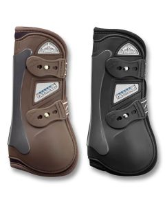 Paratendini Veredus Olympus