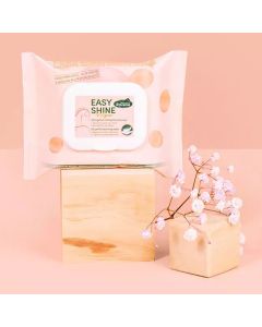 Ravene Einweg Tücher Cleaning Wipes