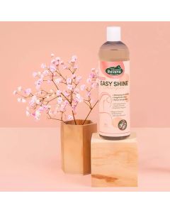 Ravene Shampoo Easy Shine