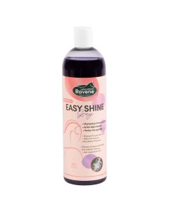 Shampoo Ravene Easy Shine Grey