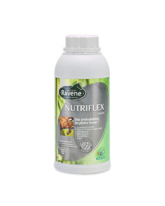 Integratore Per Articolazioni Ravene Nutriflex