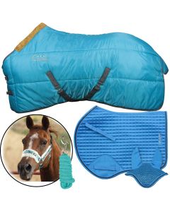 Horses Aztec Set Coloured