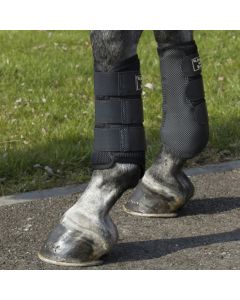 Stinchiere Back on Track 3D Mesh Welltex