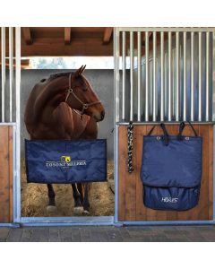 Vendita Pony Da Privato A Abbiamo Questi Pony Shetland Maschi E Femmine - Foto 7