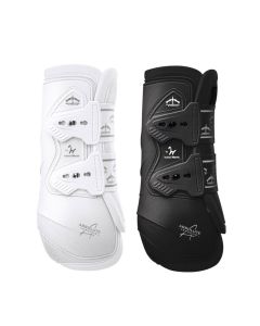 Paratendini Veredus Absolute Elastic Front