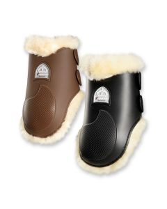 Paranocche Veredus Grand Prix 