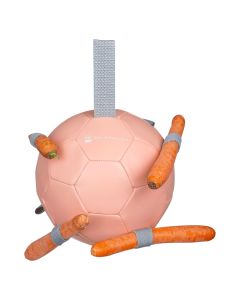 Palla CarrotBall Linnea