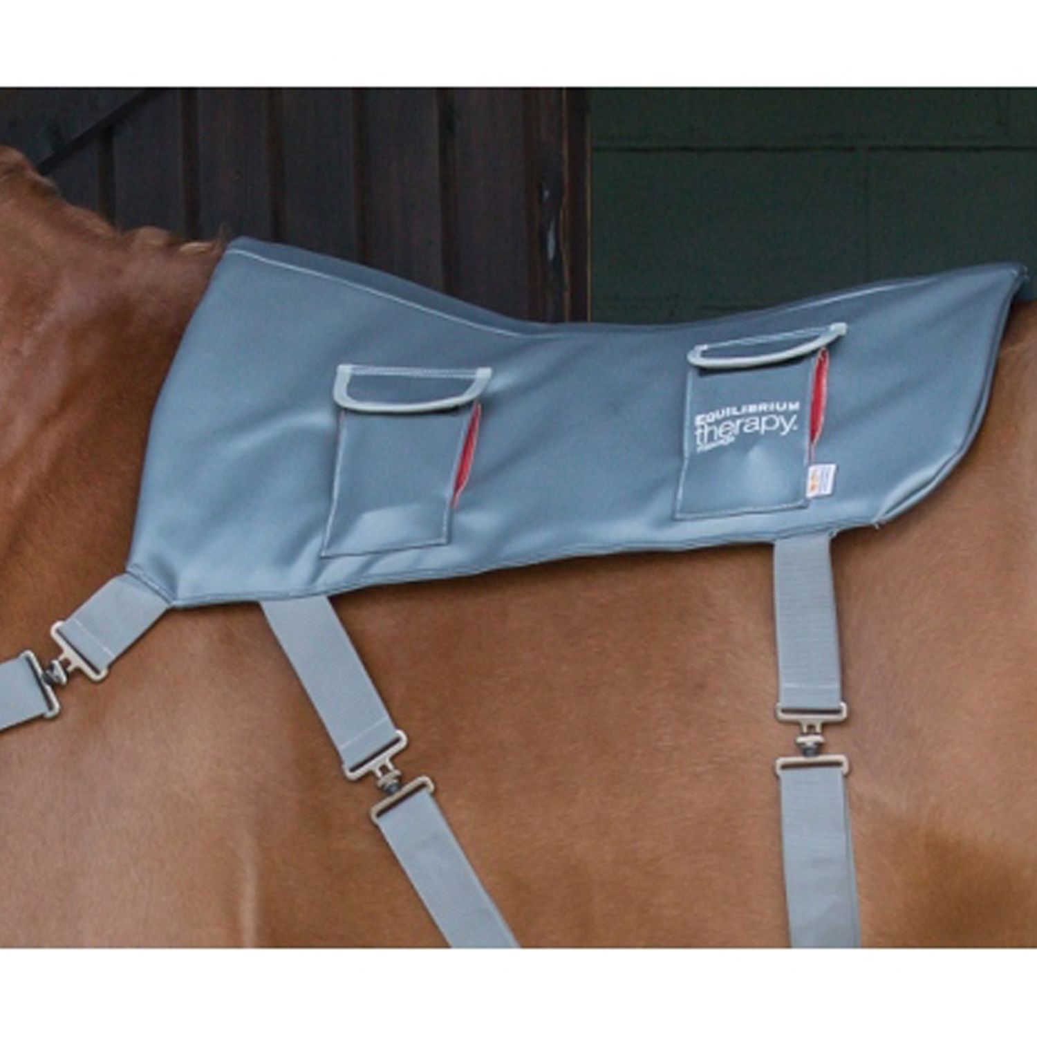 Equi massage pad hotsell