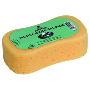 Carr&Day&Martin Cleaning Sponge