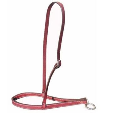 Latigo Leder Naseband