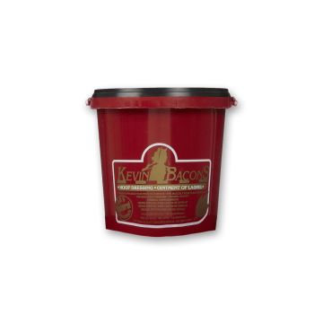 Schwarzes Huffett Kevin Bacon's