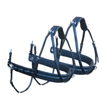 Paia Pettorali Carrozza SS