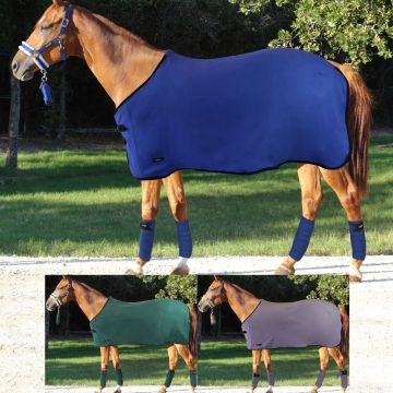 Horses Decke, Halfter, Longierstrick, Bandagen Set Megan