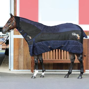 Horses Stalldecke + Halsteil Thermo HOT 300gr