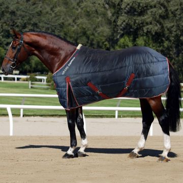 Horses Abschwitzdecke Essential Move 300 gr