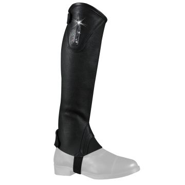 Horses Lederchaps Dresden