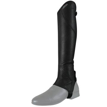 Horses Chaps Orchidea