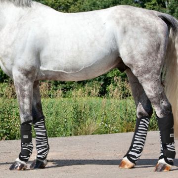 Stinchiere Antimosche Horses Fly Zebra