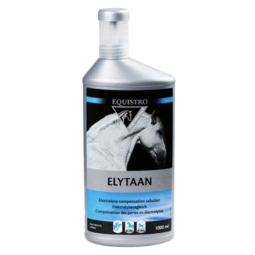 Elytaan Equistro Concentrato Elettroliti