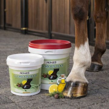 Grasa Cascos Horses Glorious Hoof