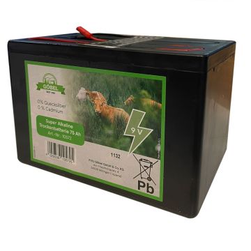 Batteria Alcalina 5000 Ore 9V 75AH