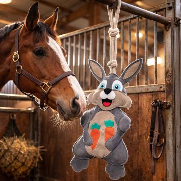 Gioco Da Box Horses Happy Bunny