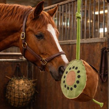 Gioco Da Box Horses Kiwi