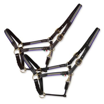 Horses Leder Halfter Sorrento